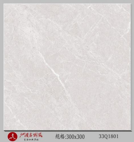 33Q1801
