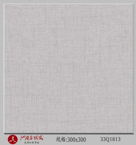 33Q1813
