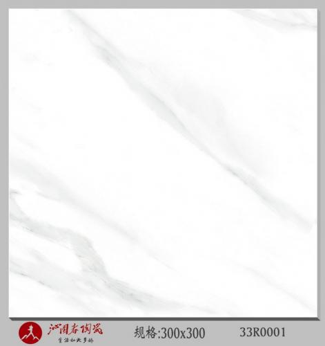 33R0001